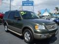 2003 Estate Green Metallic Ford Expedition Eddie Bauer  photo #1