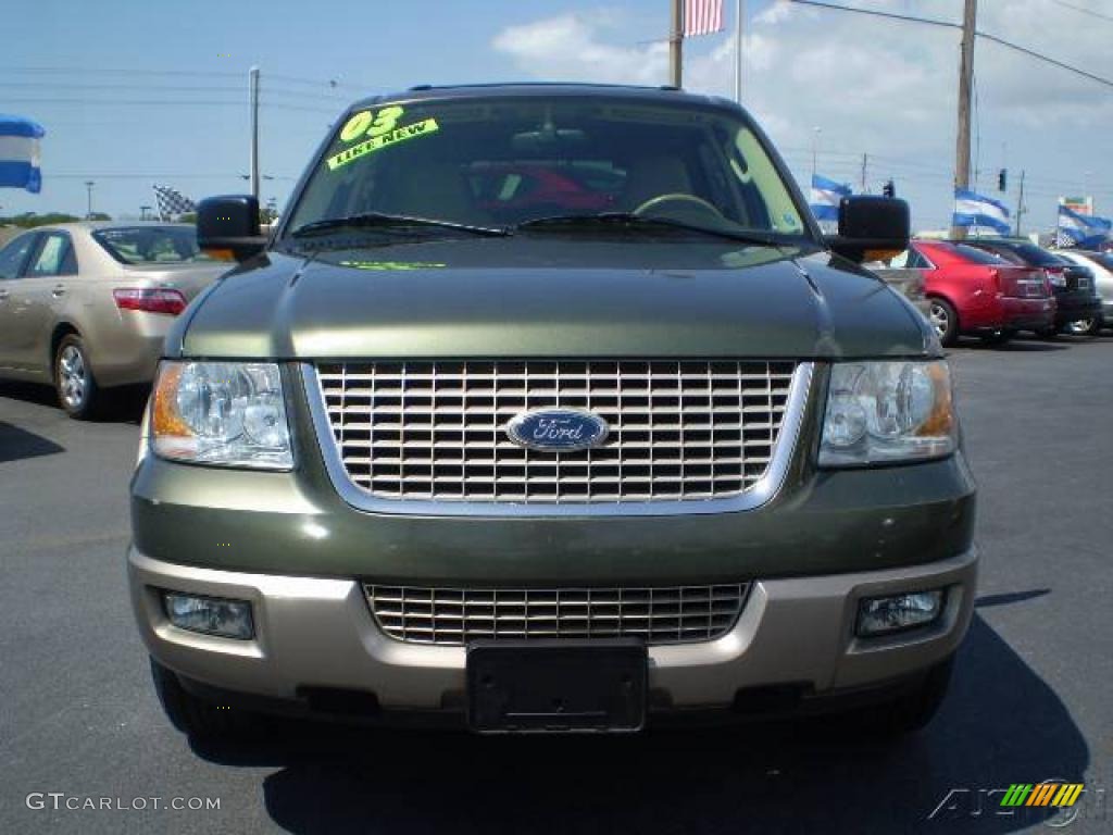2003 Expedition Eddie Bauer - Estate Green Metallic / Medium Parchment photo #2
