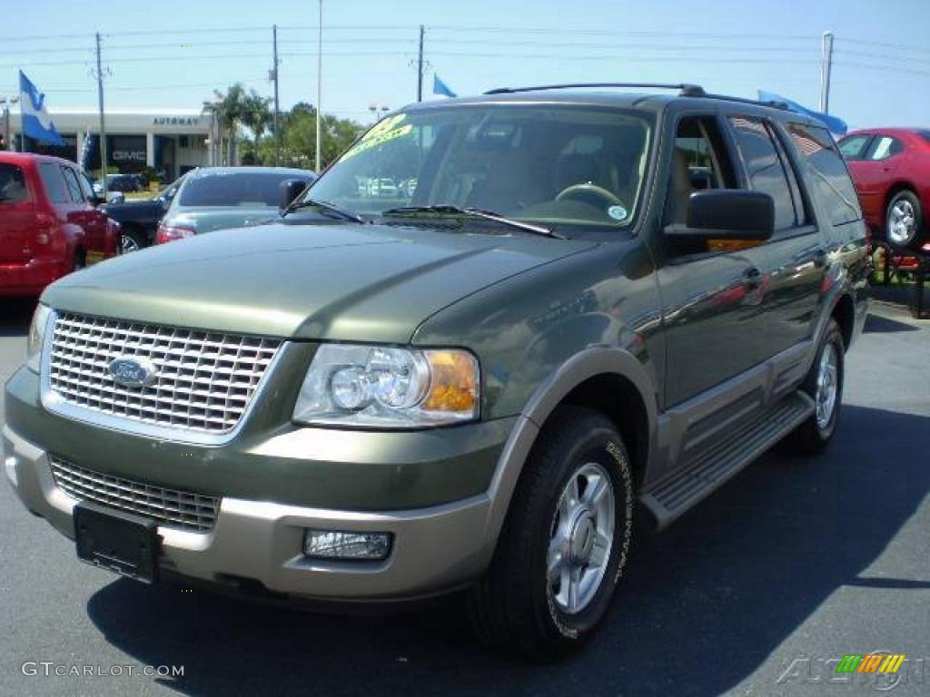 2003 Expedition Eddie Bauer - Estate Green Metallic / Medium Parchment photo #3