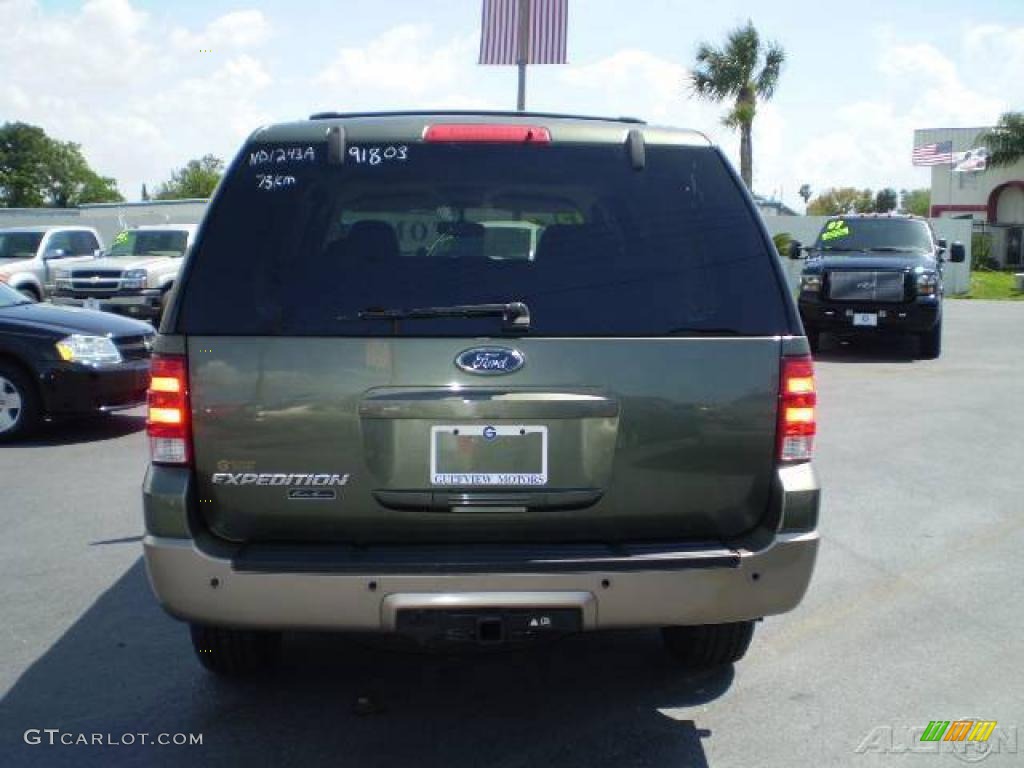 2003 Expedition Eddie Bauer - Estate Green Metallic / Medium Parchment photo #4