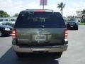 2003 Estate Green Metallic Ford Expedition Eddie Bauer  photo #4