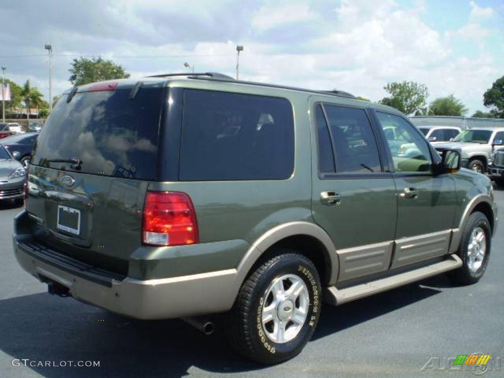 2003 Expedition Eddie Bauer - Estate Green Metallic / Medium Parchment photo #5