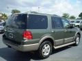 2003 Estate Green Metallic Ford Expedition Eddie Bauer  photo #5