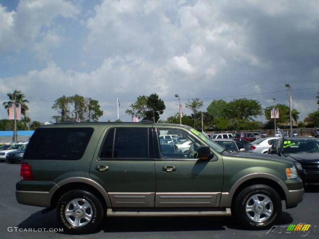 2003 Expedition Eddie Bauer - Estate Green Metallic / Medium Parchment photo #6