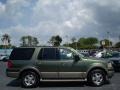 2003 Estate Green Metallic Ford Expedition Eddie Bauer  photo #6