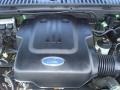 2003 Estate Green Metallic Ford Expedition Eddie Bauer  photo #8