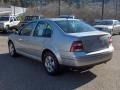 Reflex Silver Metallic - Jetta GLS TDI Sedan Photo No. 8