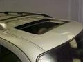 Silver Birch Metallic - Mountaineer Premier AWD Photo No. 5