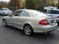 designo Silver Metallic - CLK 500 Coupe Photo No. 6