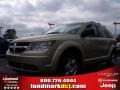 2010 White Gold Dodge Journey SE  photo #1