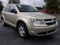 2010 White Gold Dodge Journey SE  photo #4