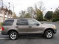 2004 Mineral Grey Metallic Ford Explorer XLT 4x4  photo #6