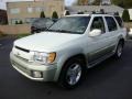 2001 Dover White Infiniti QX4 4x4  photo #1