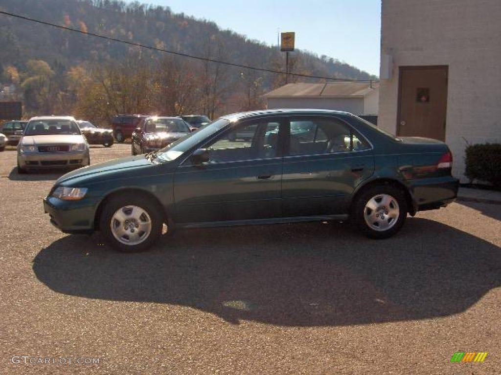 2002 Accord EX V6 Sedan - Noble Green Pearl / Ivory photo #7