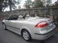 Parchment Silver Metallic - 9-3 2.0T Convertible Photo No. 4