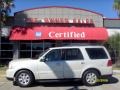 2006 Light French Silk Metallic Lincoln Navigator Ultimate  photo #1