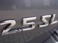 Precision Gray Metallic - Altima 2.5 SL Photo No. 10