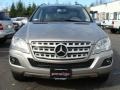 Pewter Metallic - ML 350 4Matic Photo No. 2