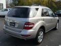 Pewter Metallic - ML 350 4Matic Photo No. 4
