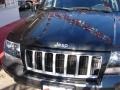 2004 Brillant Black Crystal Pearl Jeep Grand Cherokee Laredo 4x4  photo #12