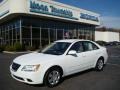 Powder White Pearl - Sonata GLS Photo No. 1