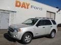 2008 Light Sage Metallic Ford Escape XLT V6 4WD  photo #1