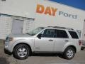 2008 Light Sage Metallic Ford Escape XLT V6 4WD  photo #2