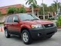 Blazing Copper Metallic 2006 Ford Escape XLT