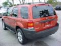 2006 Blazing Copper Metallic Ford Escape XLT  photo #6