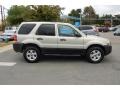 2006 Gold Ash Metallic Ford Escape XLT V6 4WD  photo #2