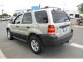 2006 Gold Ash Metallic Ford Escape XLT V6 4WD  photo #5