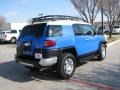 2007 Voodoo Blue Toyota FJ Cruiser   photo #6