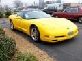 2002 Millenium Yellow Chevrolet Corvette Coupe  photo #6