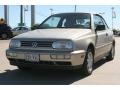 Suede Silver Metallic - Cabrio GL Photo No. 11