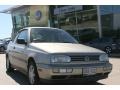 Suede Silver Metallic - Cabrio GL Photo No. 15