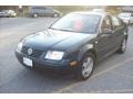 Baltic Green - Jetta GLS Sedan Photo No. 21