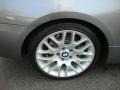 2008 Space Grey Metallic BMW 3 Series 328i Coupe  photo #23