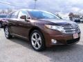 2009 Sunset Bronze Mica Toyota Venza V6 AWD  photo #1