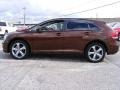 Sunset Bronze Mica - Venza V6 AWD Photo No. 6