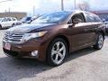 2009 Sunset Bronze Mica Toyota Venza V6 AWD  photo #7