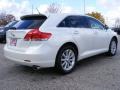 Blizzard Pearl - Venza I4 Photo No. 3