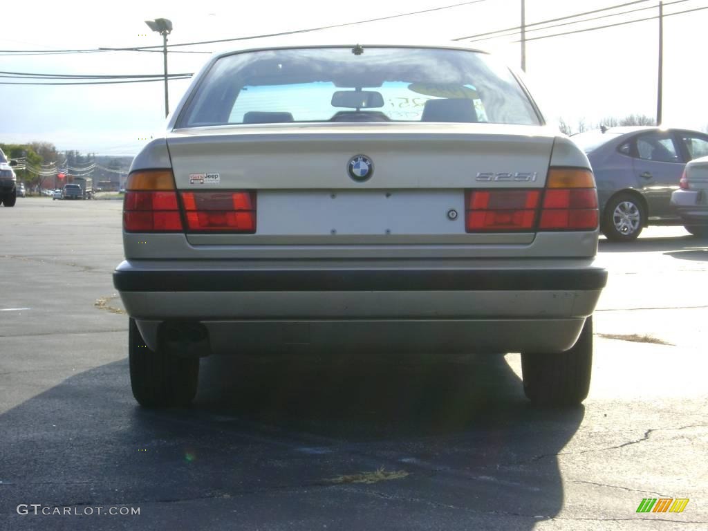 1995 5 Series 525i Sedan - Cashmere Beige Metallic / Beige photo #6