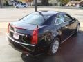 Black Raven - CTS 3.0 Sedan Photo No. 4