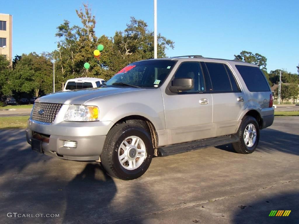 2003 Expedition XLT - Silver Birch Metallic / Flint Grey photo #1