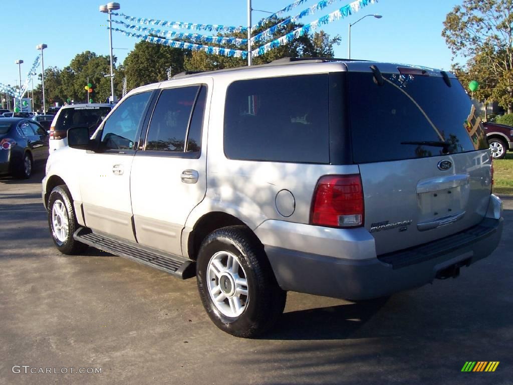 2003 Expedition XLT - Silver Birch Metallic / Flint Grey photo #3