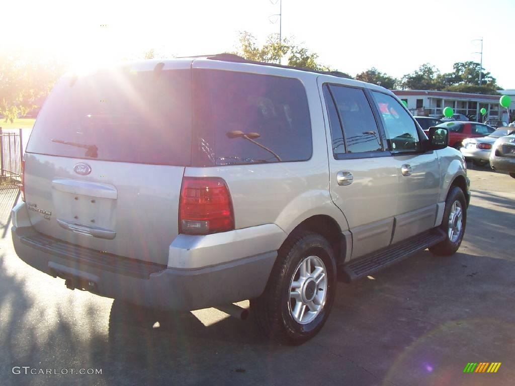 2003 Expedition XLT - Silver Birch Metallic / Flint Grey photo #5