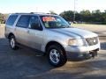 2003 Silver Birch Metallic Ford Expedition XLT  photo #6