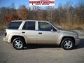 2006 Sandstone Metallic Chevrolet TrailBlazer LS 4x4  photo #1