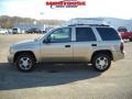 2006 Sandstone Metallic Chevrolet TrailBlazer LS 4x4  photo #7