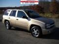 2006 Sandstone Metallic Chevrolet TrailBlazer LS 4x4  photo #24